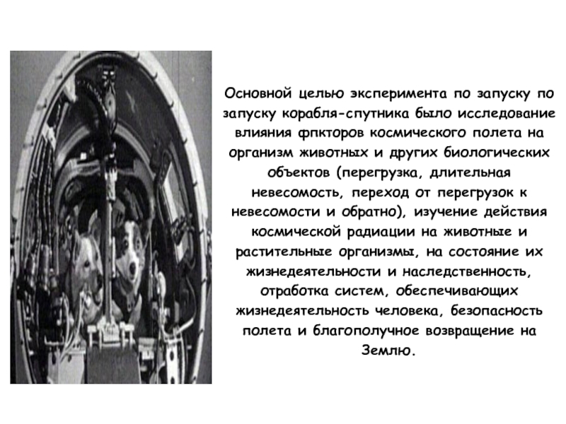 Факторы космического полета. Влияние условий космического полёта на организм человека. Повреждающее действие факторов космического полета. Влияние невесомости на организм человека. Влияние невесомости на организм животного.