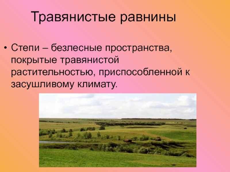 Безлесные зоны климат