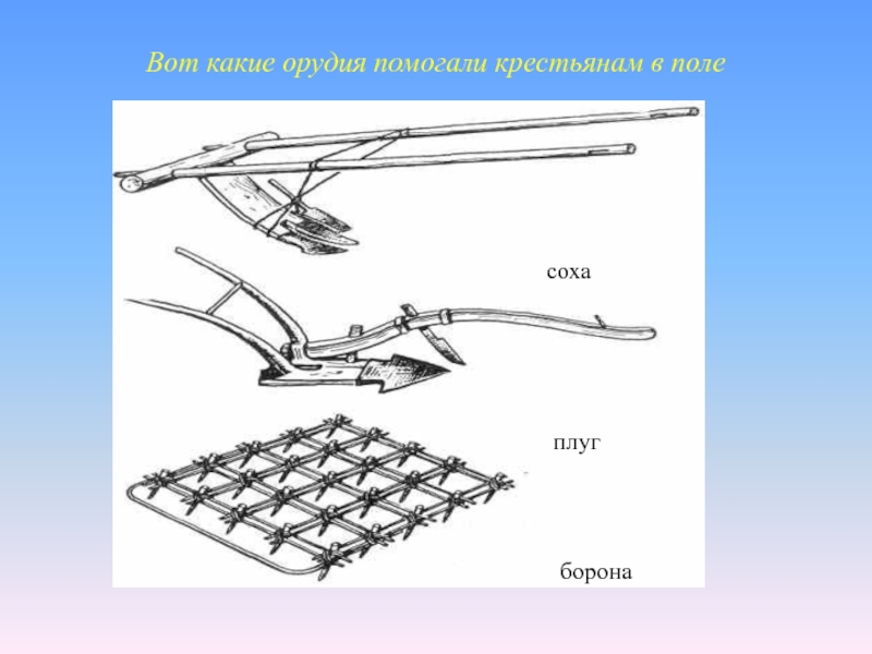 Соха и борона картинки