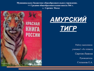 Слайды к докладу научно – практической эколого – краеведческой конференции Путешествие к истокам по теме: Амурский тигр