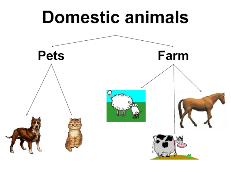 Three animals that перевод. Wild and domestic animals тема. Animal Farm. Types of domestic animals. Pets and Farm animals.