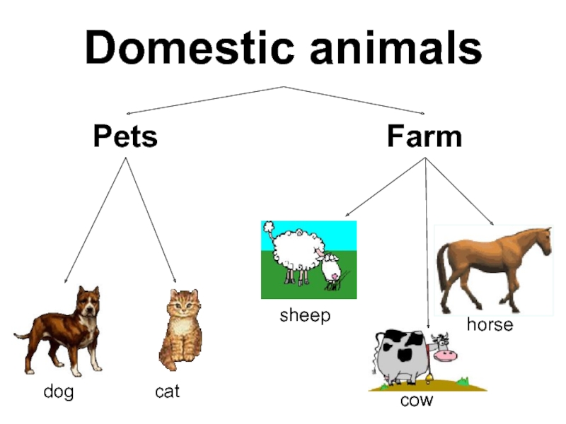 Animals translate. Открытый урок на тему domestic animals. Wild and domestic animals тема. Domestic animals задания. Farm animals задания.