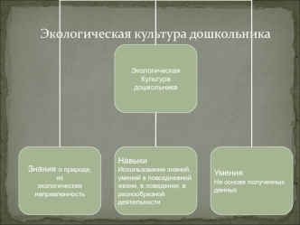 vospitanie ekologicheskoy kulturyu detey starshego doshkolnogo vorasta doshkolnika prezntatsiya