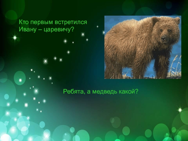 Медведь издает. Медведь какой прилагательные. Звук медведя. Какие звуки издает медведь. Какие звуки издает медведь для детей.