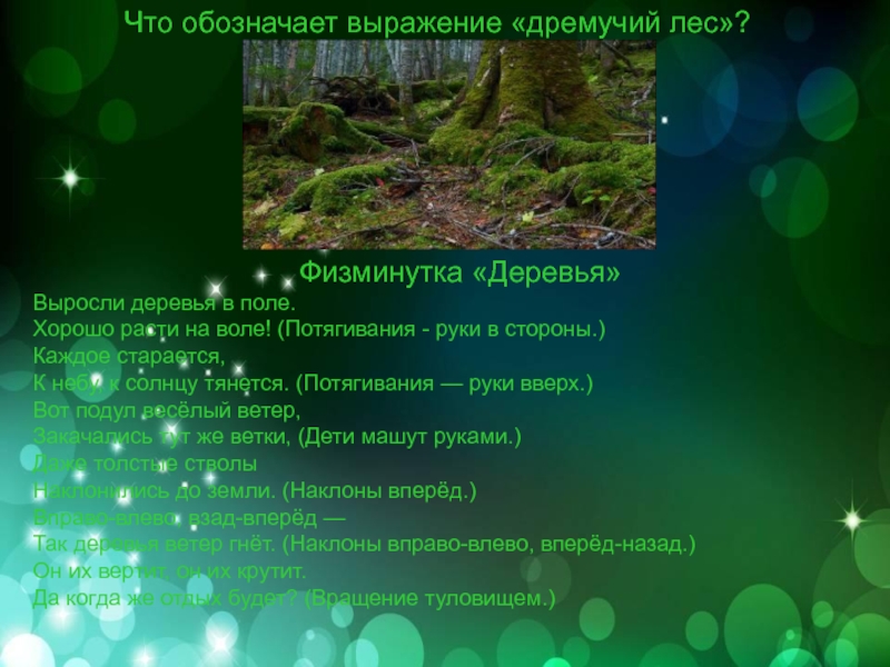 Лес эпитеты. Что означает дремучий лес. Физминутка выросли деревья в поле. Выражение дремучий лес. Физминутка деревья в лесу.