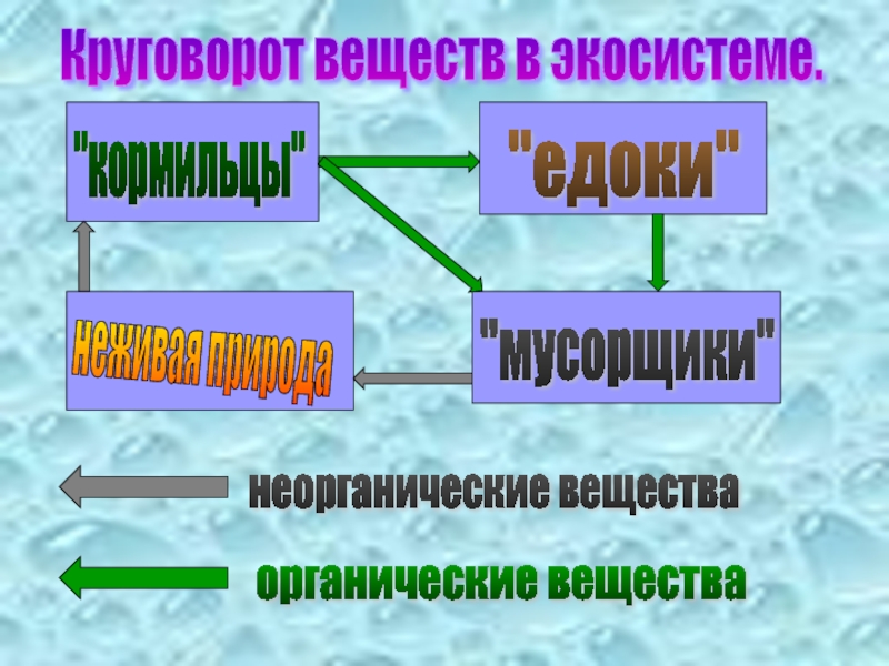 Органические вещества неживой природы