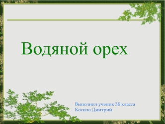 водяной орех презентация 3 класс