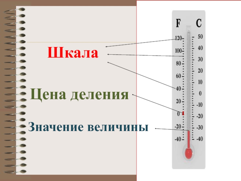 Шкале 1 2 3 4. Шкала деления. Шкала. Цена деления шкалы. Приборы со шкалой деления.