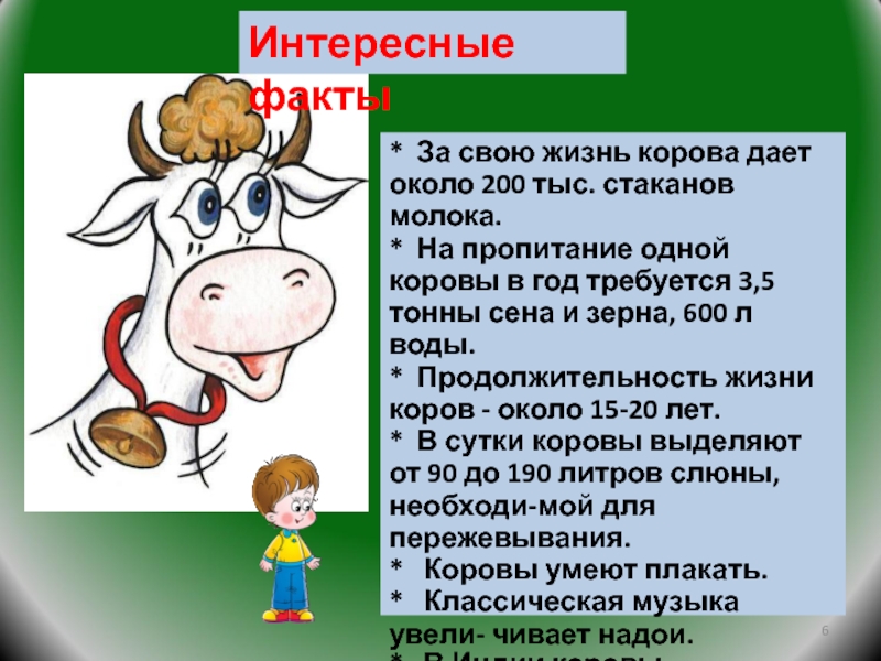 Сколько литров дает корова молока в день. Факты о жизни коровы. Продолжительность лизникоровы. Мышление коровы. Годы жизни коров.