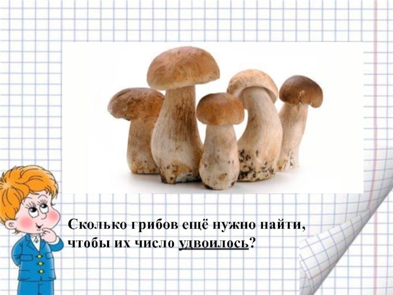 Сколько грибов собрала лена