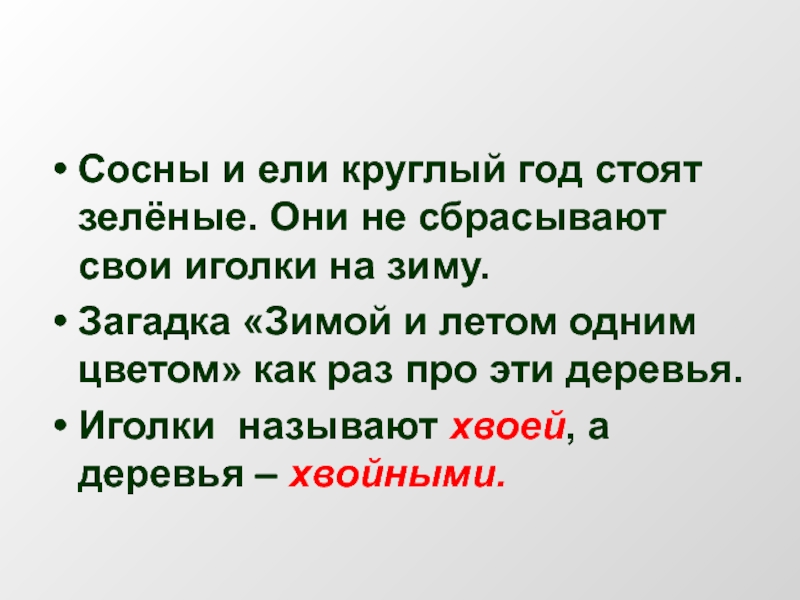 Счастливы сосны и ели вечно они зеленеют. Зимой и летом одним цветом загадка. Загадка зимой и летом 1 цветом. Загадка зимой зеленый лежит зеленый.