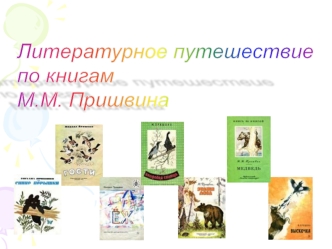 Литературное  путешествие по книгам М