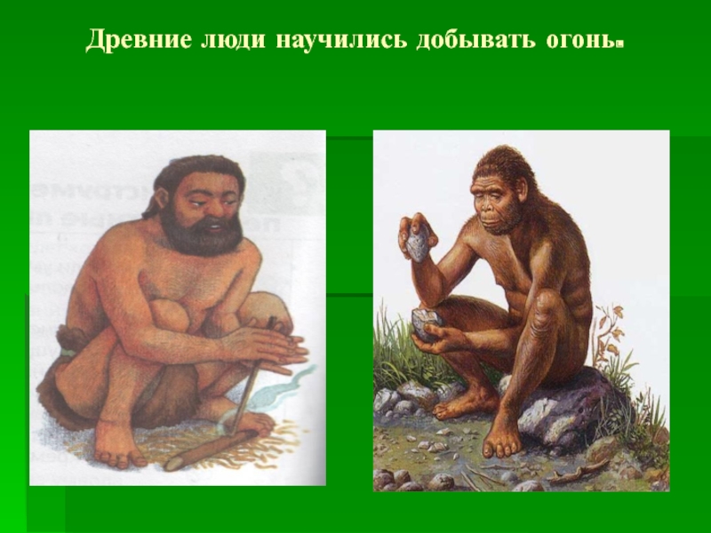 Предок современного человека изображенный на рисунке уже умел добывать огонь строить жилища