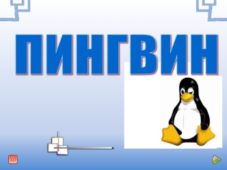 pingvin app