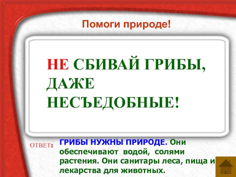 Нельзя сбить. Не сбивай грибы даже несъедобные. Почему нельзя сбивать несъедобные грибы?. Не сбивай грибы даже не сьедобные. Иллюстрация не сшибайте грибы, даже несъедобные.