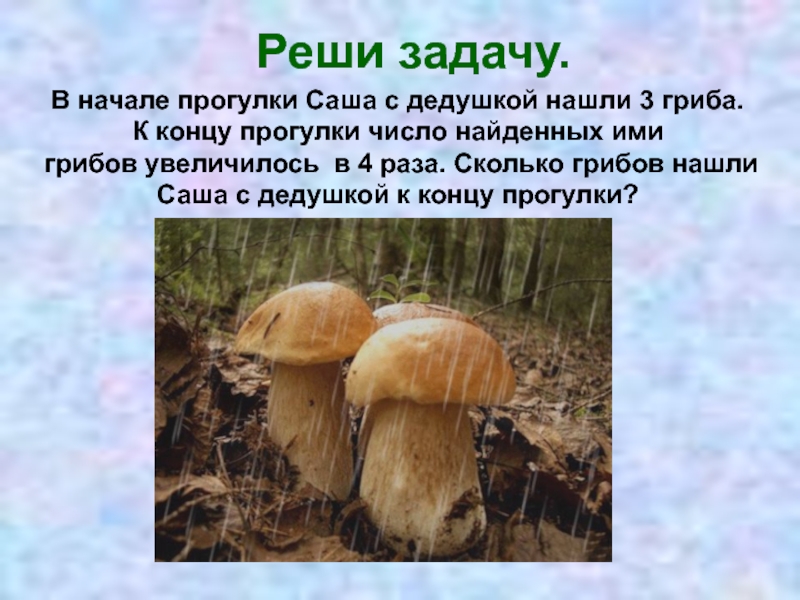 Сколько грибов нашел миша
