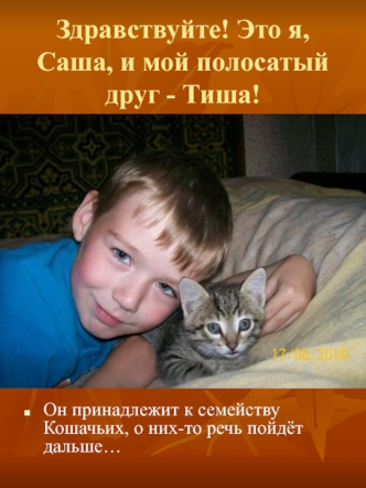 Презентация