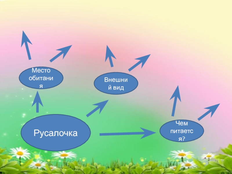 Презентация к уроку литературного чтения 4 класс андерсен русалочка