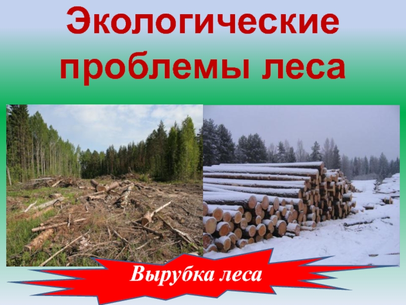 Экологические проблемы леса. Проблемы леса для детей. Вырубка леса экологическая проблема. Вырубка леса проблема плакат.