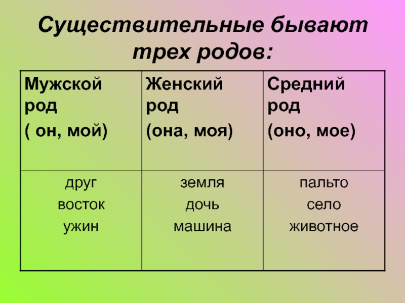 Русский язык существительное бывают