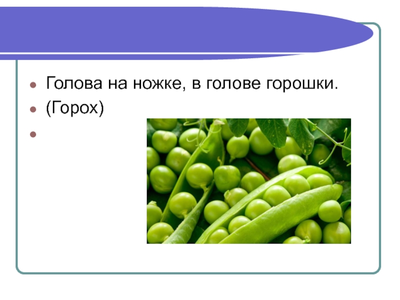 Загадка голова. Голова на ножке в голове горошки. Загадка голова на ножке в голове горошки. Загадка про горох. Голова на ножке а внутри горошки.