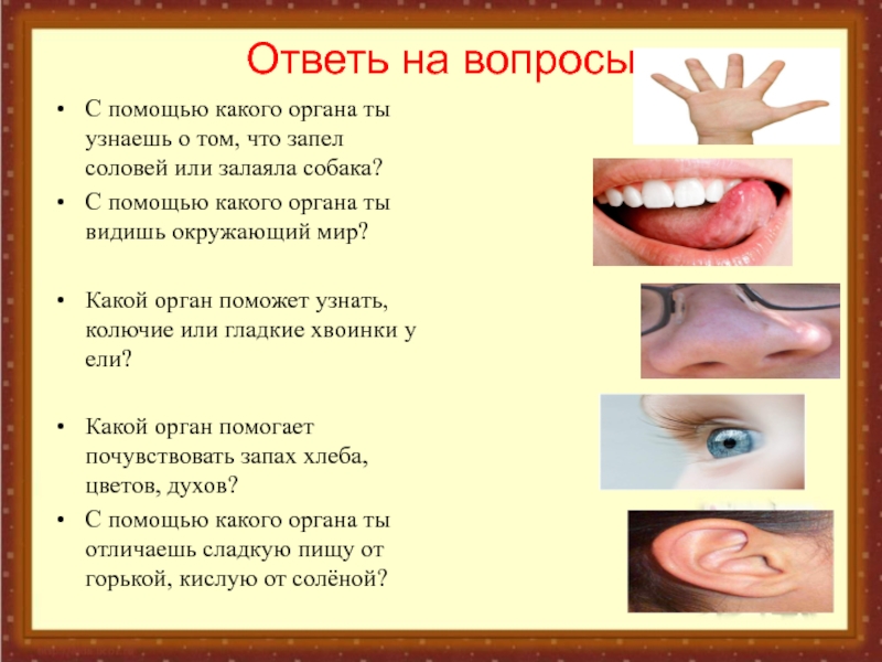 Вопросы про орган. Органы чувств человека. Органы чувств 3 класс окружающий мир. Какой орган помогает. Вопросы об органах чувств 4 класс.