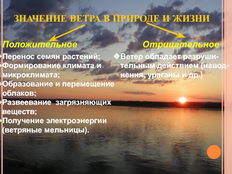 Правда ветра. Значение ветра. Влияние ветра на природу. Роль ветра в природе и жизни человека. Положительное влияние ветра на растения.