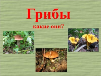 Описание к слайдам  Грибы Слайд 1 Грибы какие они? Слайд 2 Белый гриб (боровик) Вот гриб-боровик, Он к почёту привык, Как полков