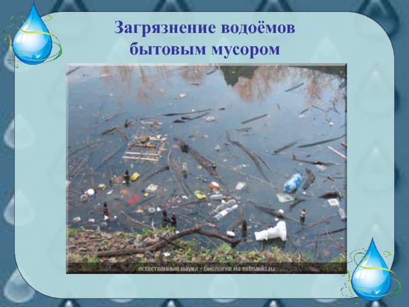 Водоемы причины. Источники загрязнения прудов. Виды загрязнения водоемов. Причины загрязнения водоемов мусором. Источники загрязнения водоемов для детей.