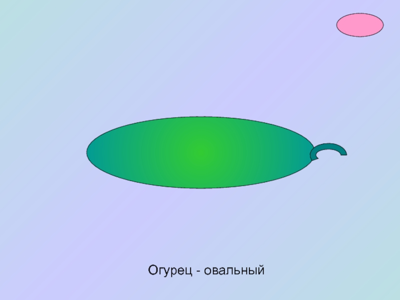 Предметы овальной формы картинки для детей