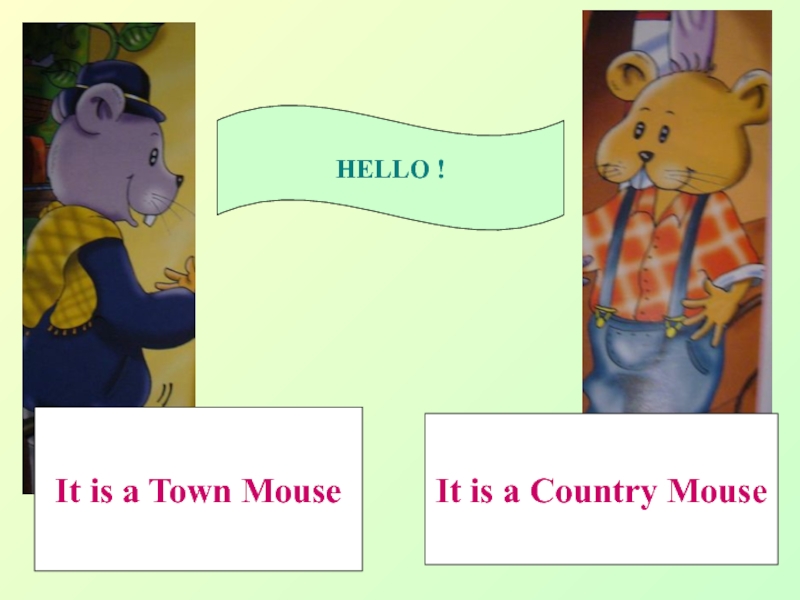 Hello country. Town Mouse. Кантри Маус и Таун Маус. Сказка the Town Mouse and the Country Mouse. Английский про сельскую и городскую мышку.