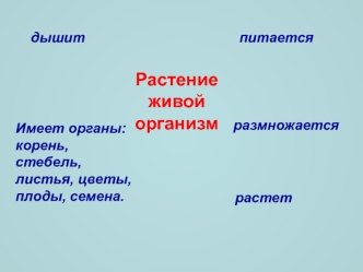 prezentatsiya1