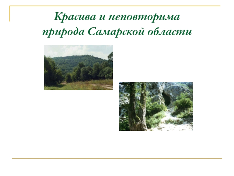 Разнообразие природы родного края 3 класс окружающий мир проект самарская область