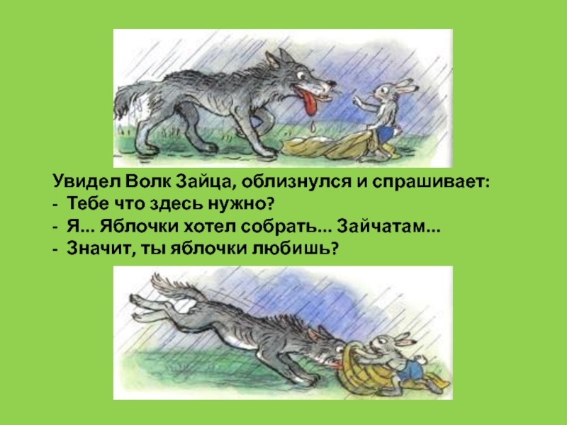 Увидел зайца. Диалог зайца и волка. Взаимоотношения между волком и зайцем это. Волк увидел зайца. Взаимодействие между волком и зайцем.