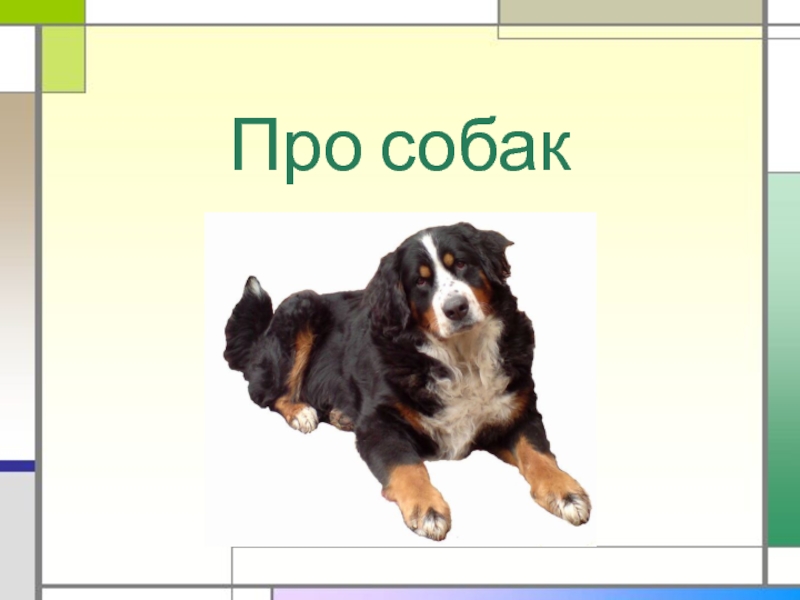 Презентация про собак 2 класс. Собака картинка для презентации. Презентация о презентации. Слайды про собак для детей 1 класс. Тексты о работе собак для детей.