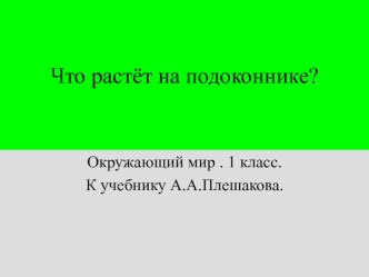 prezentaciya Chto rastyot na podokonnike