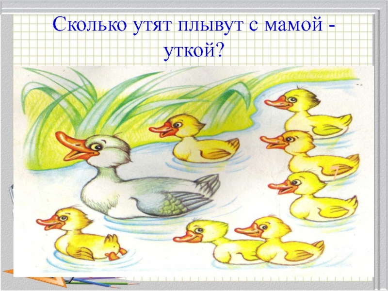 Сколько уток