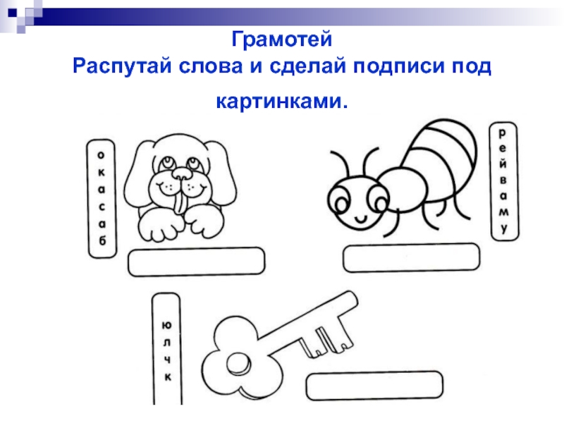 Раскрась блузки такими цветами чтобы подписи под картинками были верными