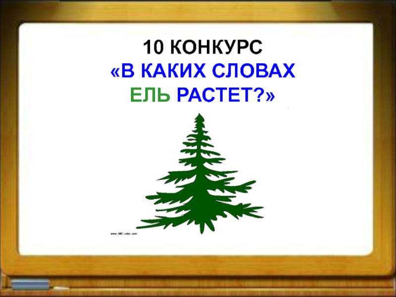 Лексическое слово ель. Слова с ель. Предложение со словом ель 1 класс. Слова со словом ель. Ель родственные слова.