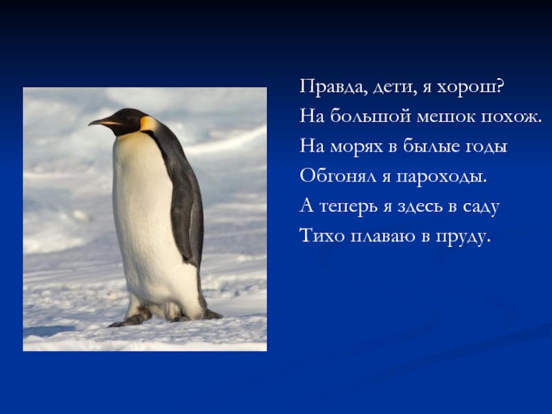 Правда дети я хорош. Правда дети я хорош на большой мешок похож на морях в былые годы. Правда дети я хорош на большой мешок. Правда дети я хорош на большой похож. Правда дети я хорош на боль.