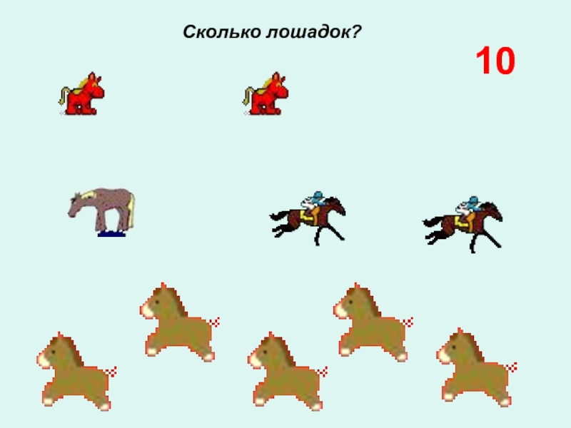 Сколько лошадей. На картинке лошадь сколько областей у нее Информатика.