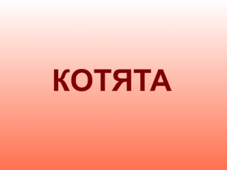 kotyata - schet rus