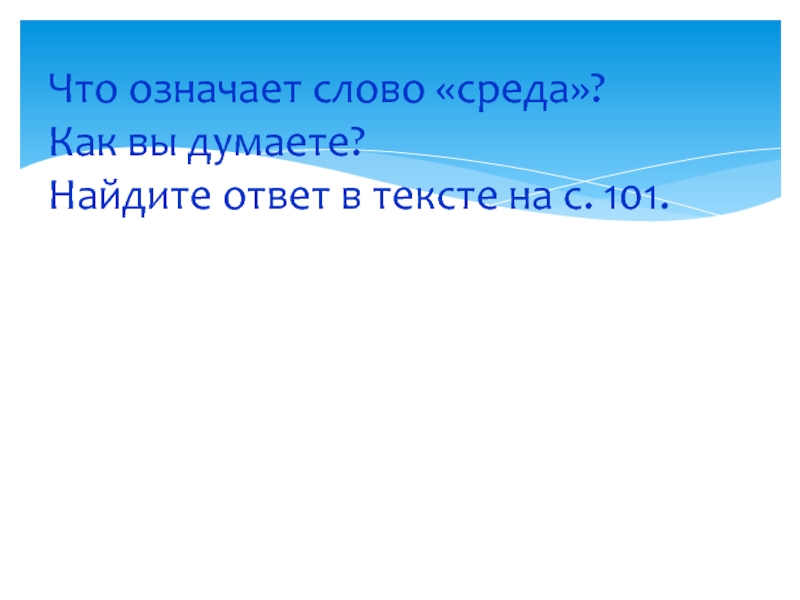 Среда слово. Слово окружение. Что означает слово среда природы.