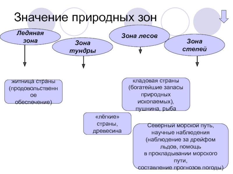 Что значит натуральный. Значение природных зон. Значение природных зон для человека. Каково значение природных зон. Каково значение зоны.