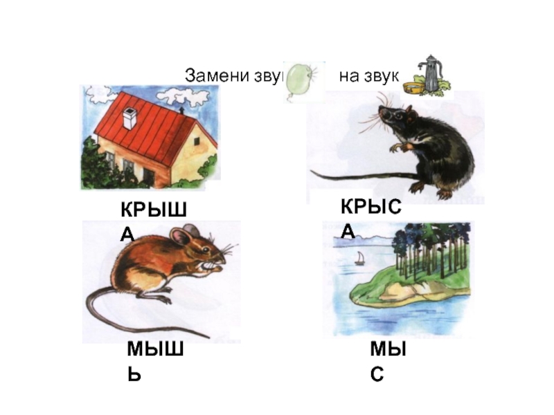 Крыса крыша картинка для детей