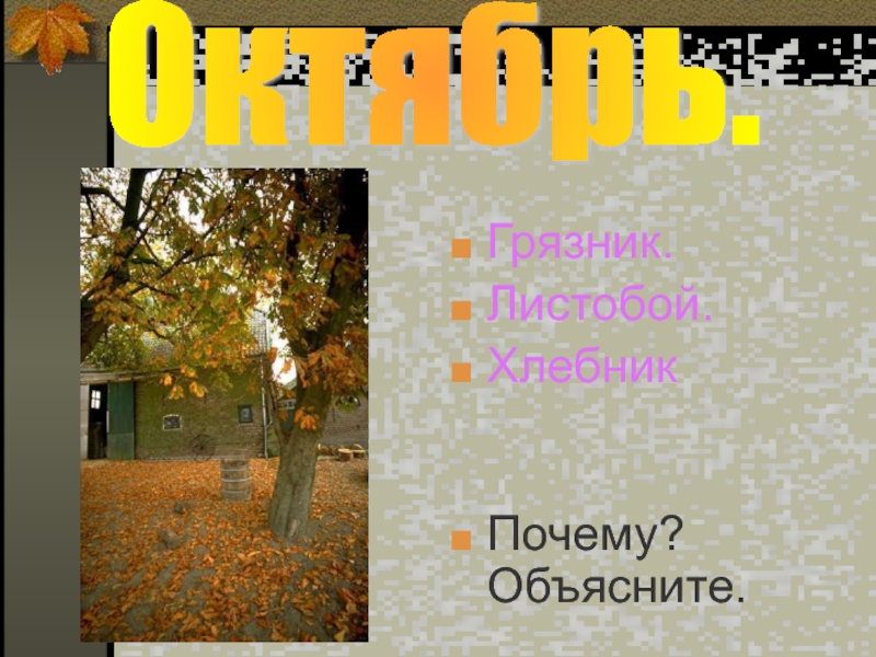 Почему в ноябре нельзя. Листобой. Листобой краткое. Листобой ветер. Октябрь грязник картинки для детей.