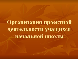 organizaciya proektnoy deyatelnosti uchashchihsya nachalnoy shkoly