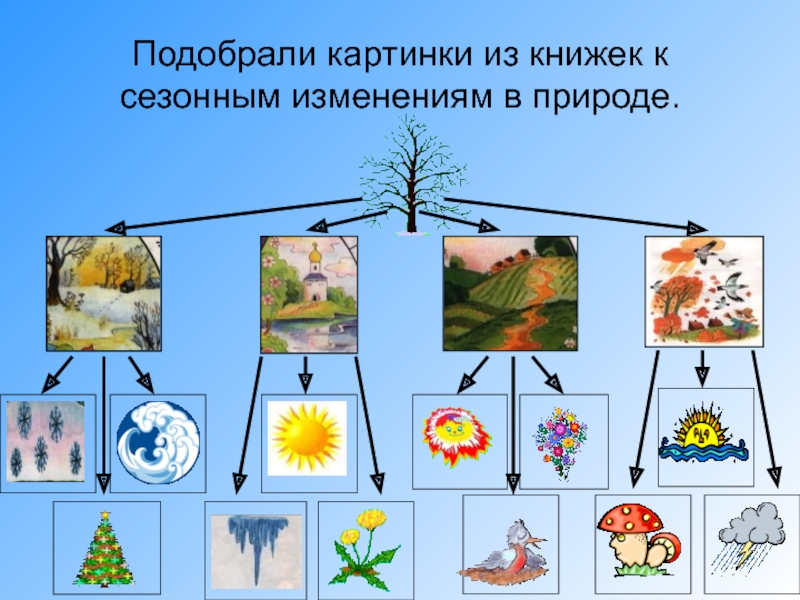 2 класс проект сезонные изменения