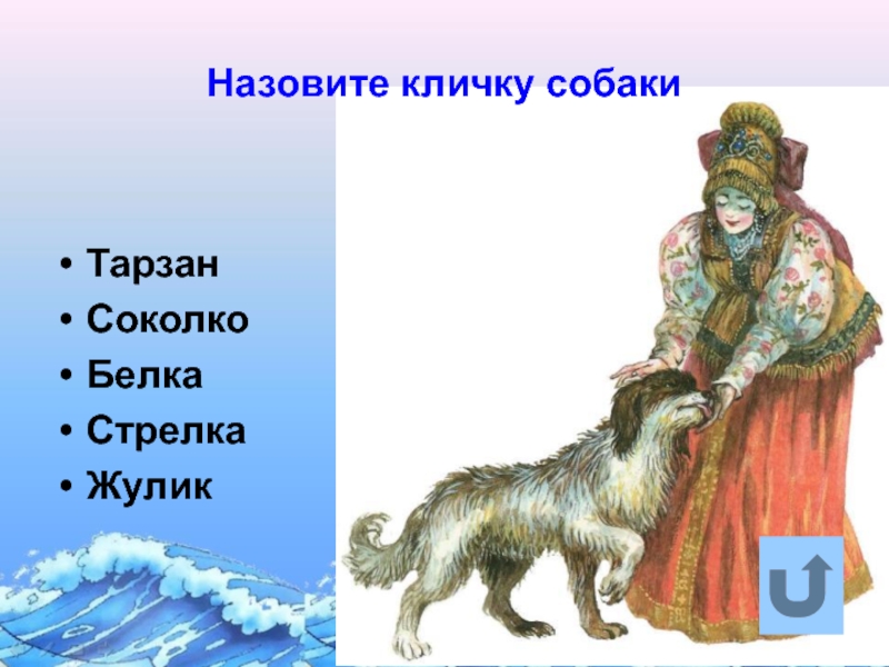 Клички из сказок. Имена собак из сказок. Пёс Соколко из сказки. Клички собак из сказок. Клички щенков из сказки.