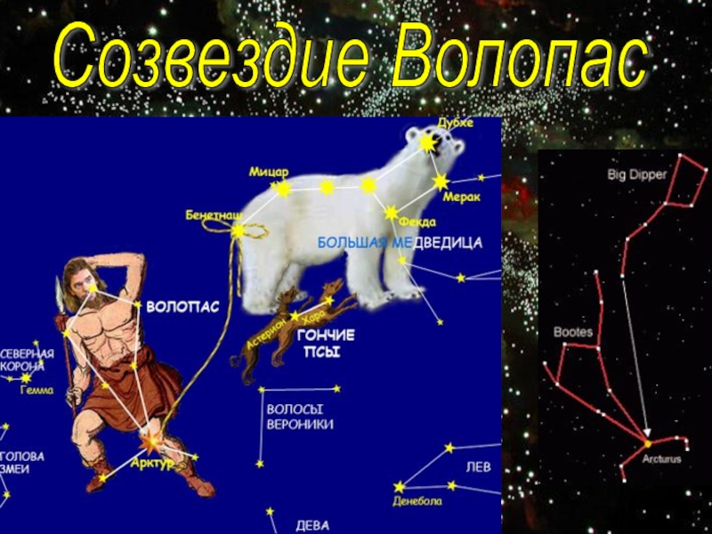 Волопас созвездие рисунок